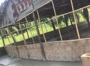 Poultry for Sale