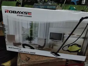 Robayes Steam Cleaner