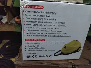 Robayes Steam Cleaner