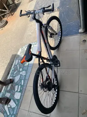 Adult Sports Bicycle