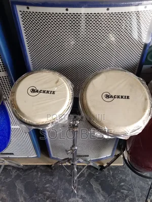 Mini Bongo Drum.