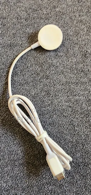 Original Apple Type C Magnetic Watch Charger