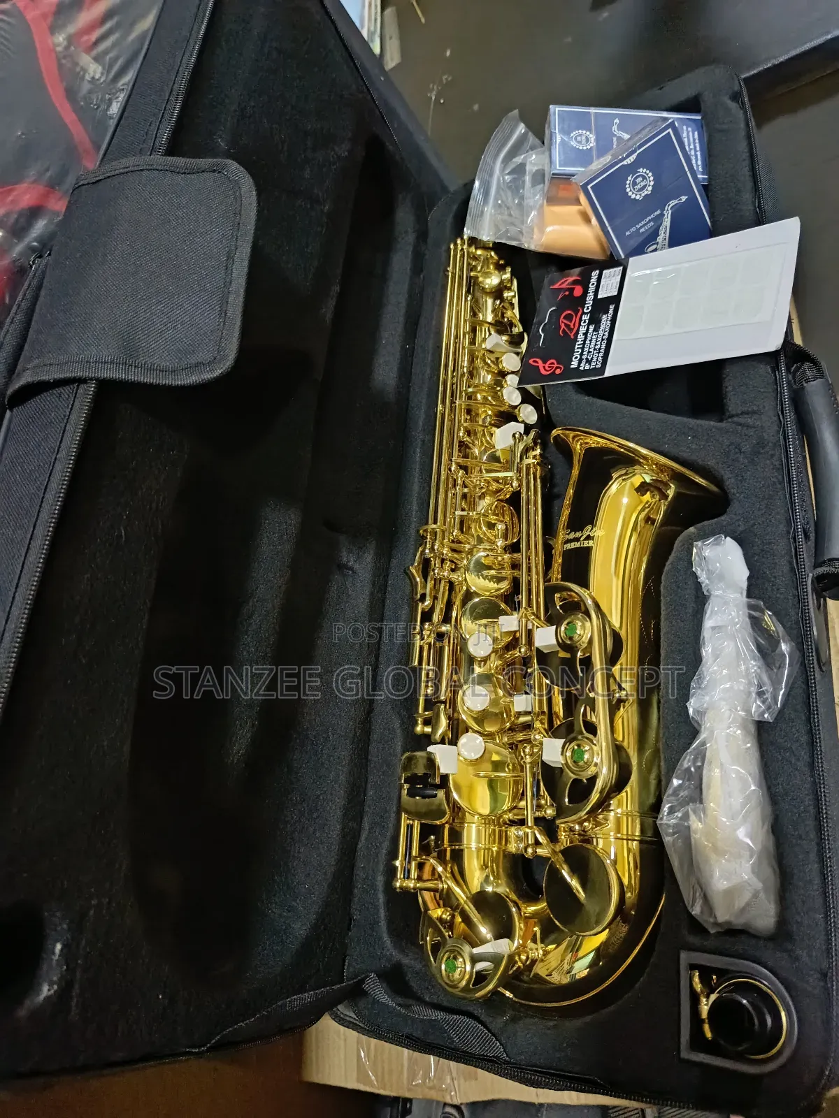 Intermediate Premier Sanjin Alto Saxophone