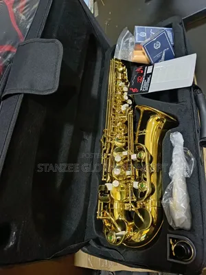Photo - Intermediate Premier Sanjin Alto Saxophone