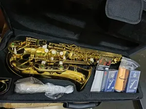Intermediate Premier Sanjin Alto Saxophone