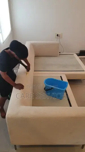 Sofa and Couch Cleaning Services