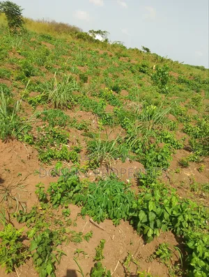 For Sale Full Plot