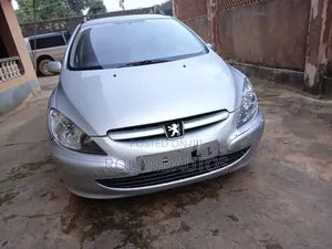 Peugeot 307 2004 Silver