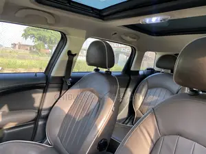 Mini Countryman 2012 Brown