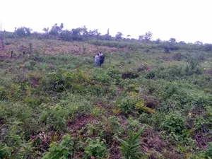 For Urgent Sale Mixed Use Land