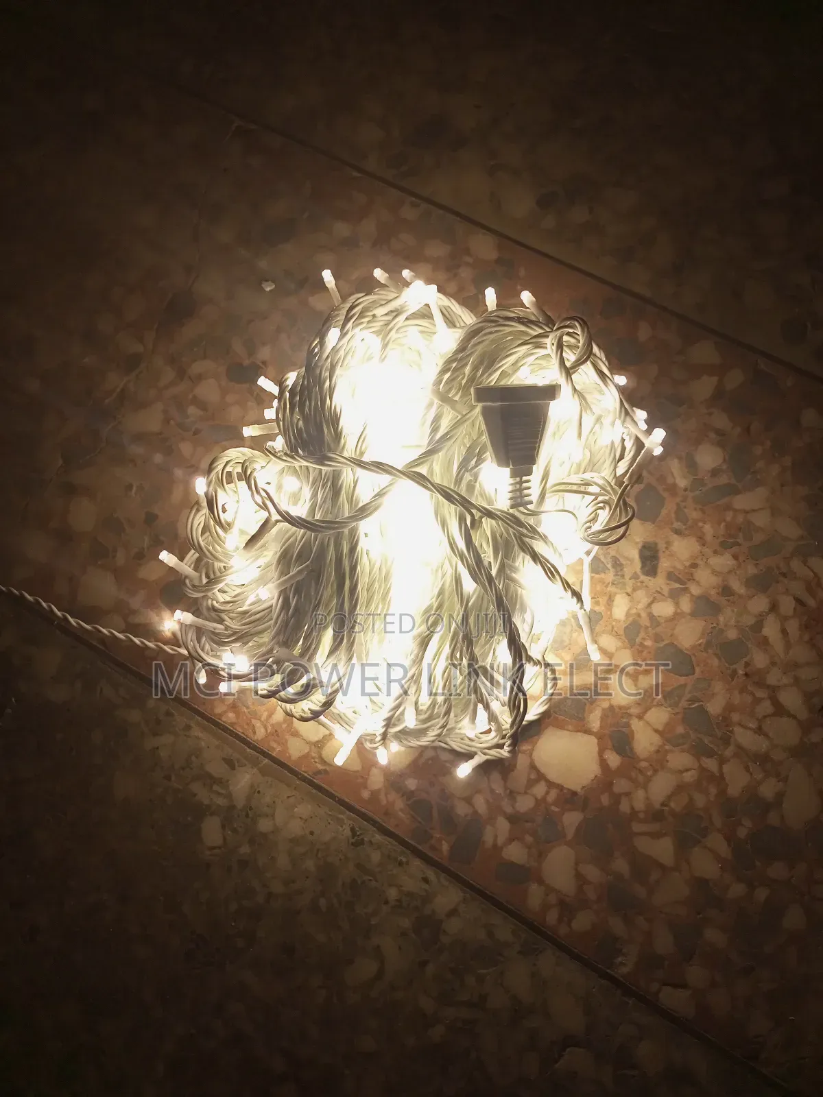 Warm White Steady on String Light