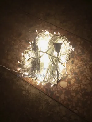 Warm White Steady on String Light