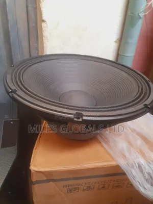 Hi-Max 15inches Naked Speaker