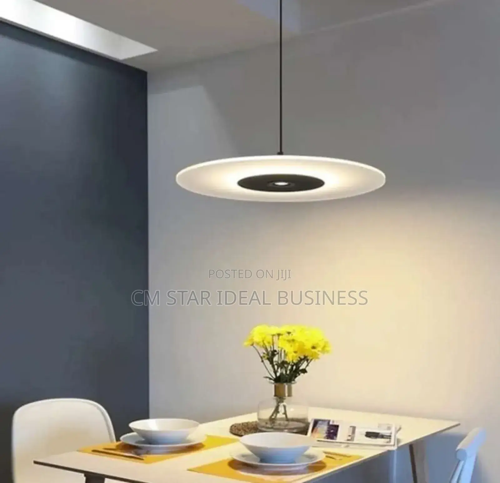 Pendant Light