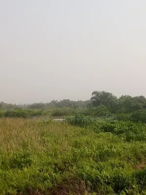 For Sale 150 Plots With Consent!