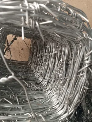 Galvanized Security Barbed Wire