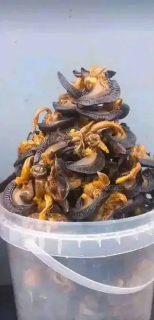 Oven Dried Snails- Xtra Jumbo 50pieces)