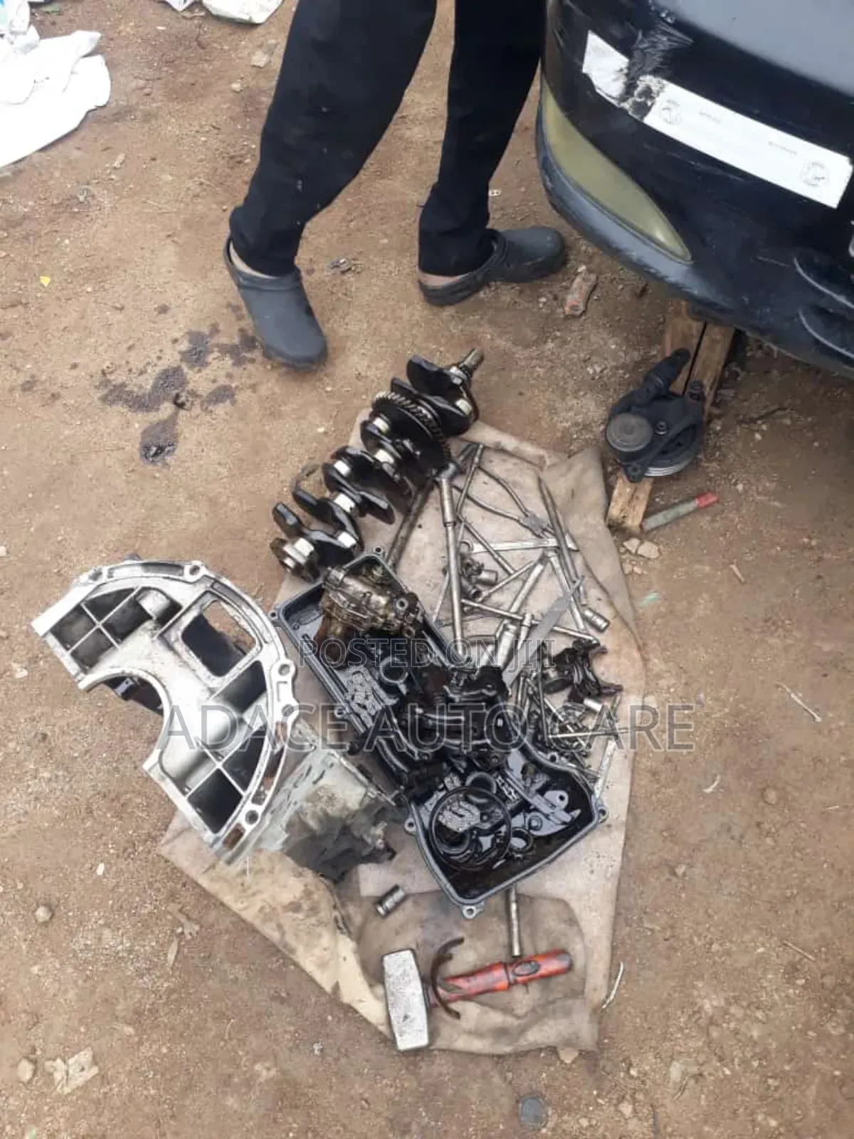 Professional Auto Mechanic