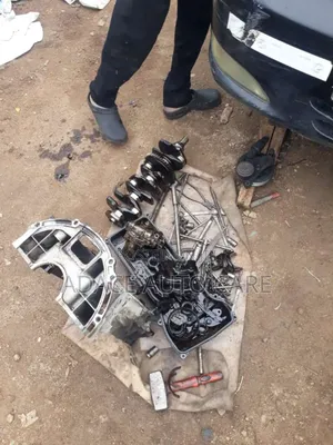 Professional Auto Mechanic