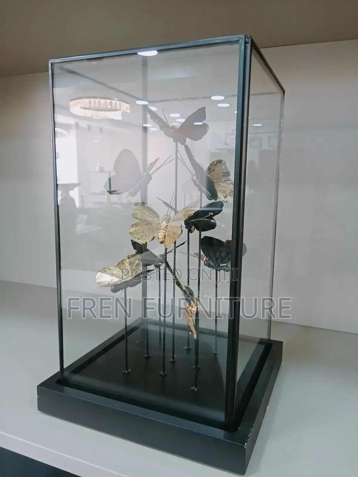 Imported Luxury Quality Deco