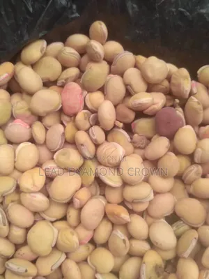 Photo - Lablab (Legumes Seeds)