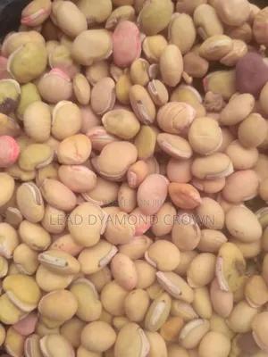 Lablab (Legumes Seeds)