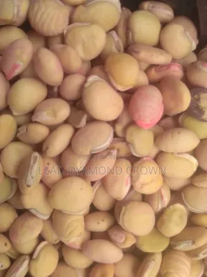 Lablab (Legumes Seeds)