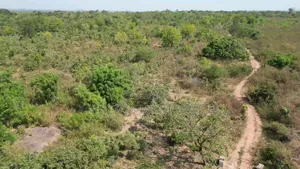 Almost 15 ,000 Plots of Land for Sale