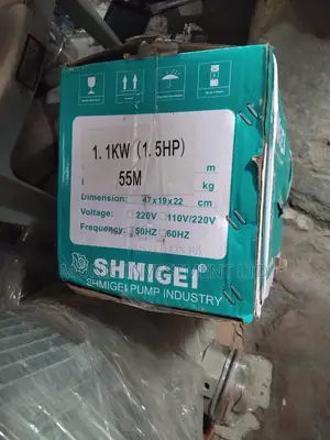 Shmigei Water Pump
