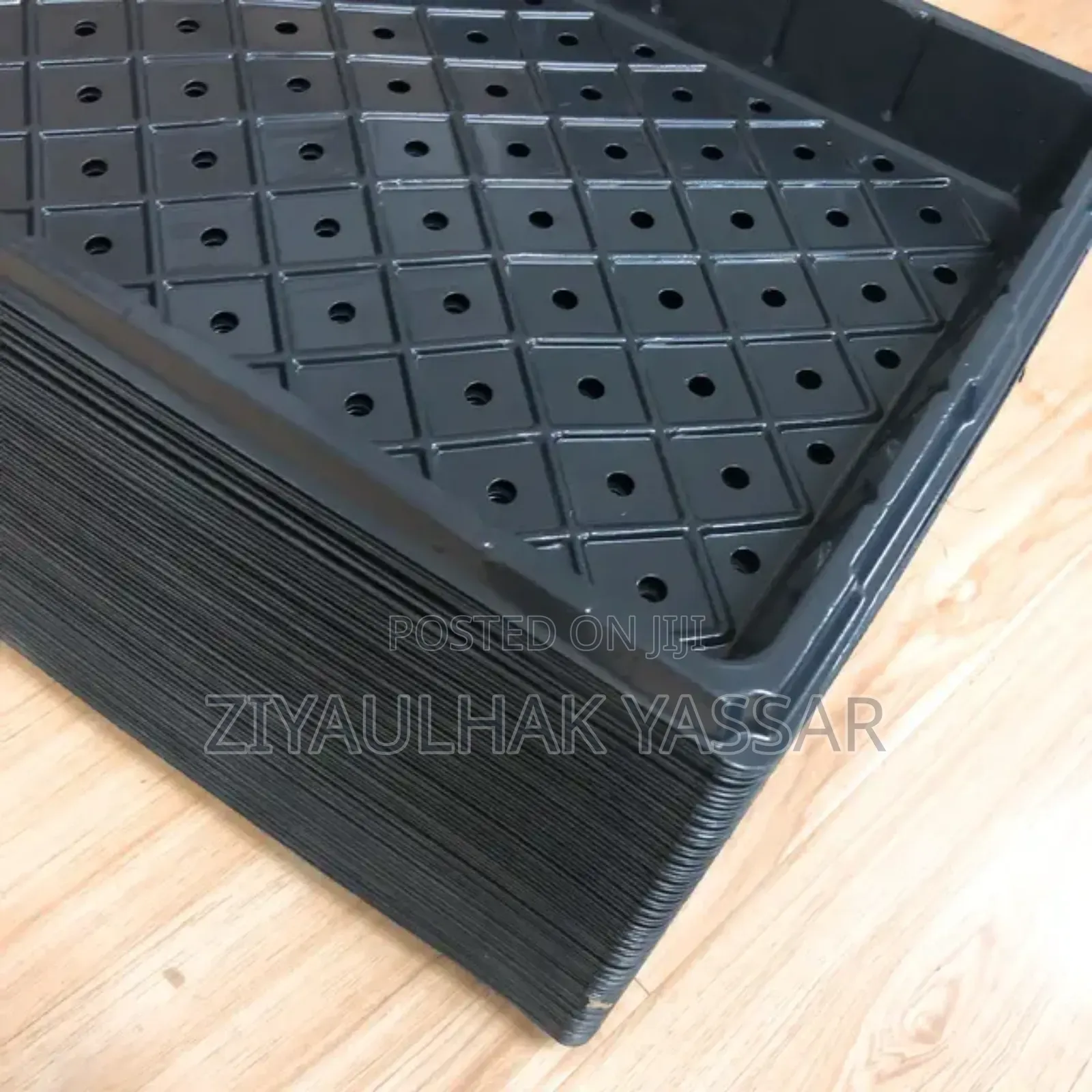 Fodder Trays/Seedling Trays
