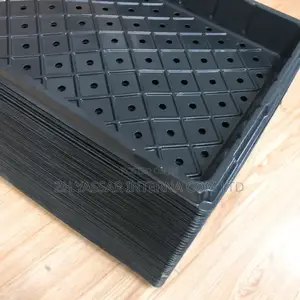 Fodder Trays/Seedling Trays