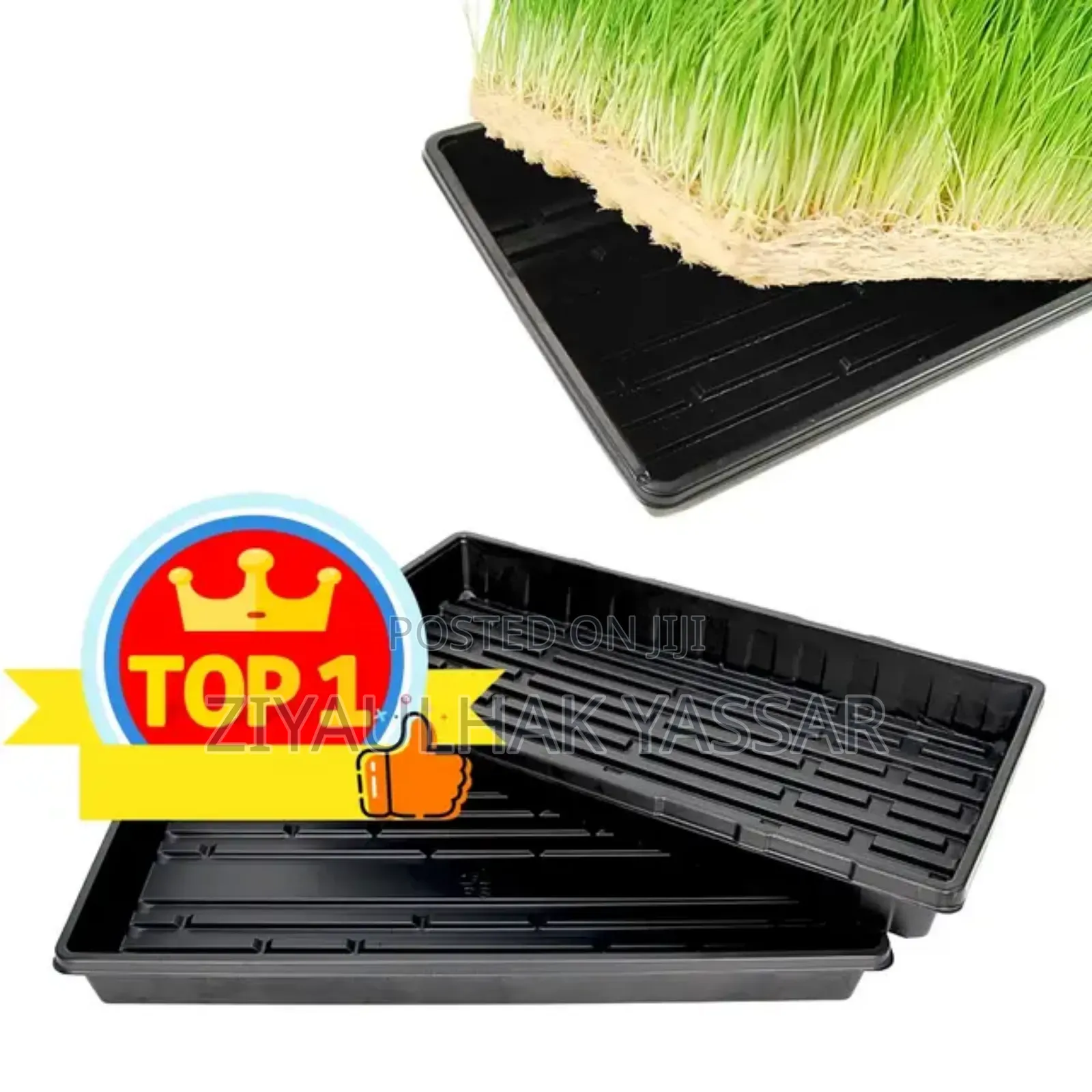 Fodder Trays/Seedling Trays