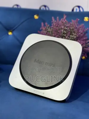Server 8GB Apple M1 HDD+SSD 256GB
