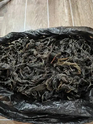 Dried Bitter Leaf