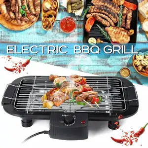 Dessini Reginal Electric BBQ Grill