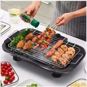 Dessini Reginal Electric BBQ Grill