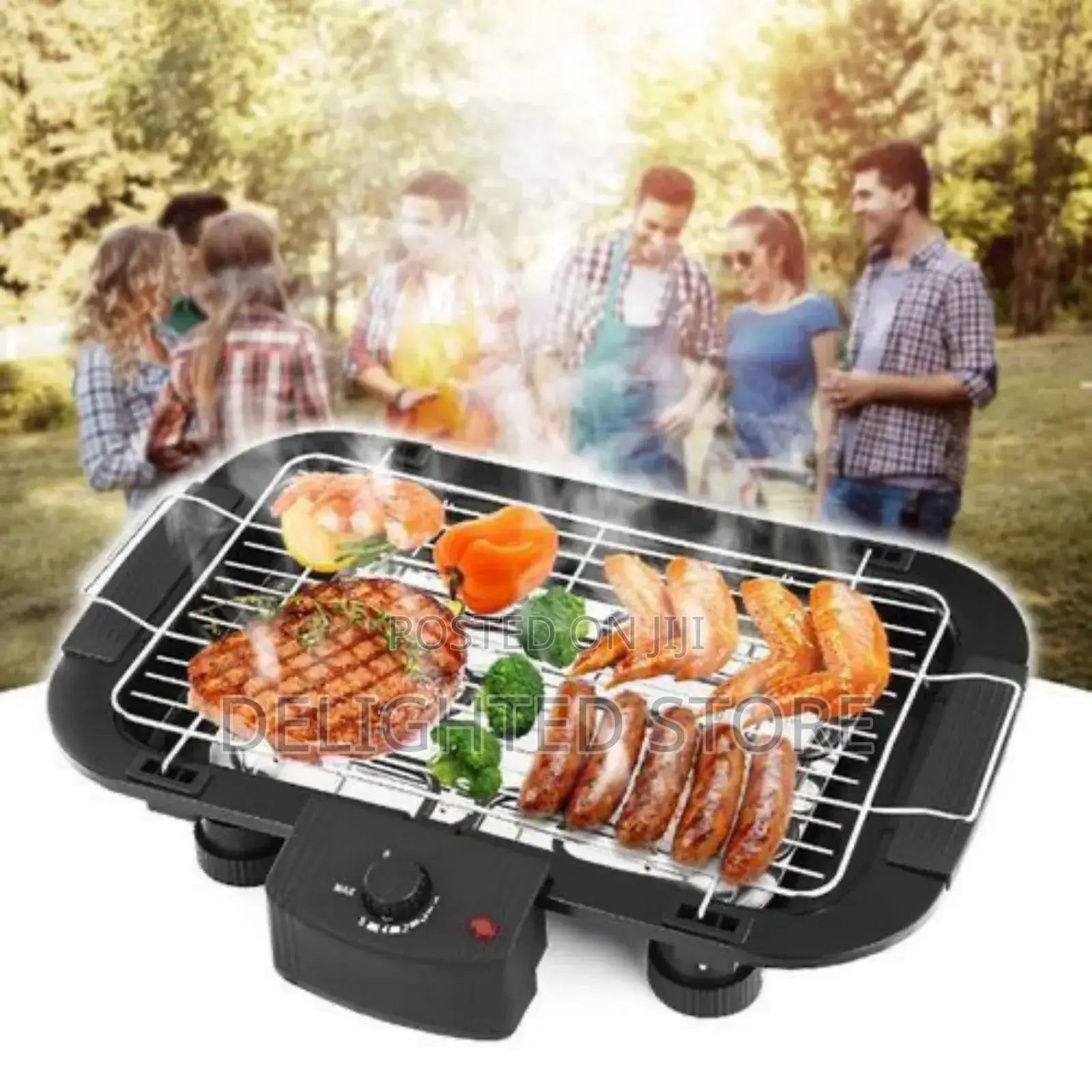 Dessini Reginal Electric BBQ Grill