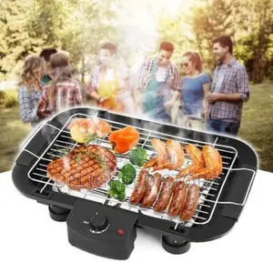 Dessini Reginal Electric BBQ Grill