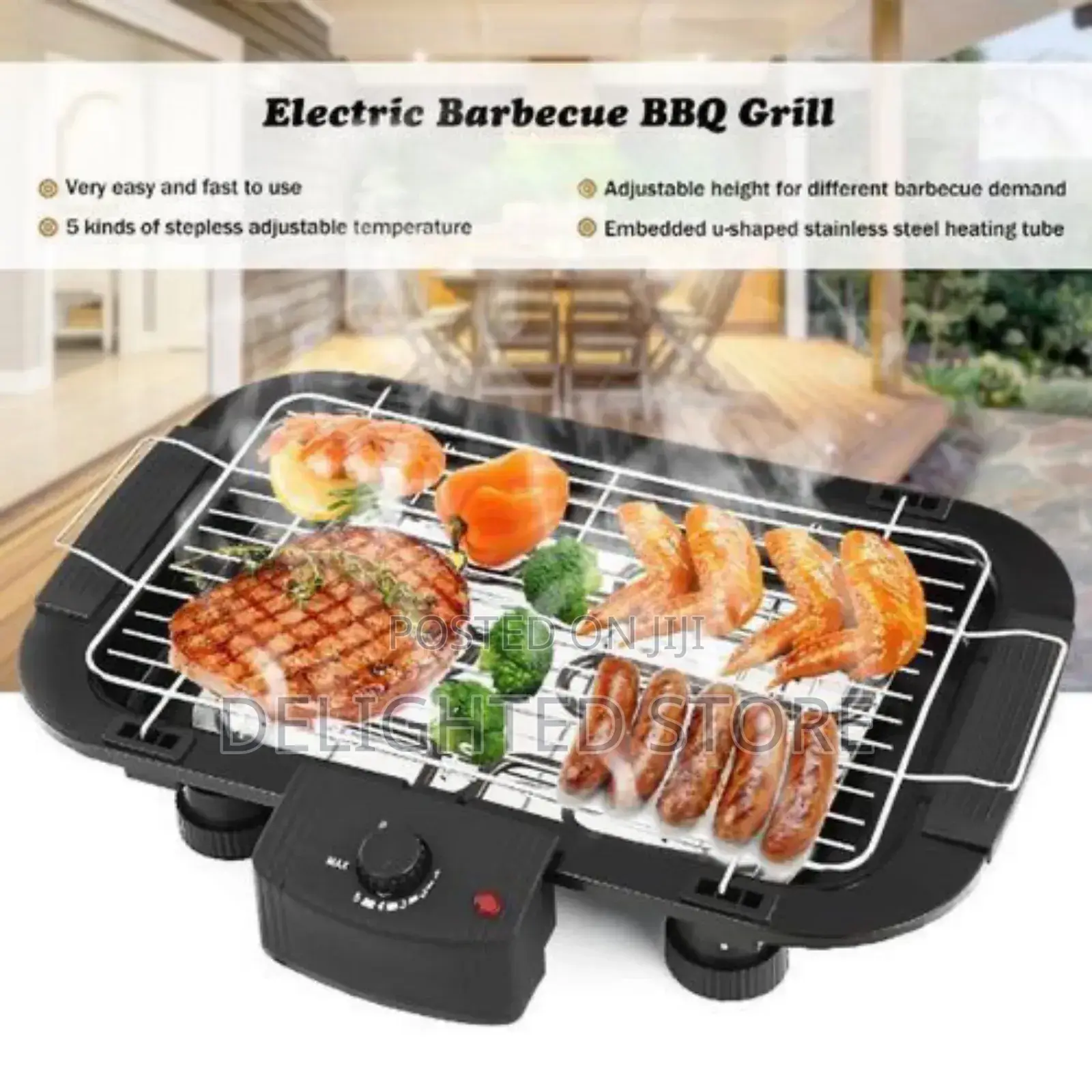 Dessini Reginal Electric BBQ Grill