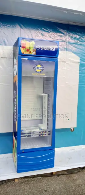 Giant Snowsea Chiller 300 Liters