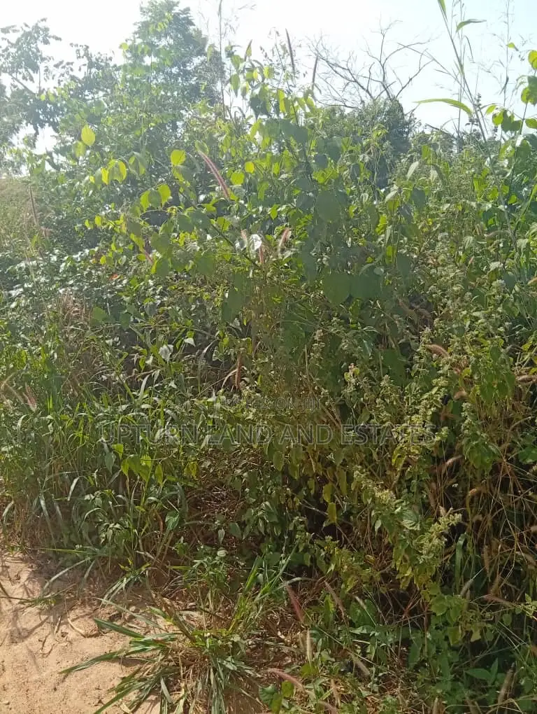 4000 Acres of Land for Sale Comes With Red Copy Survey