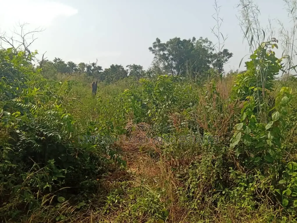 4000 Acres of Land for Sale Comes With Red Copy Survey