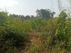 4000 Acres of Land for Sale Comes With Red Copy Survey