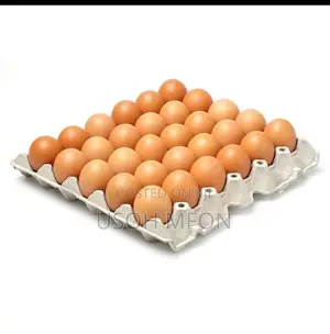 Omc Farm Fresh Eggs