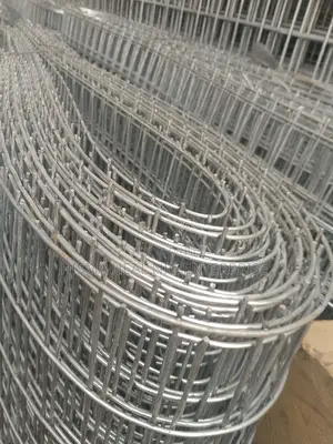 2"*1" Galvanized Mesh Wire