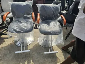 Salon Chair