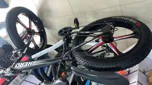 Fat Tyre Bicycle