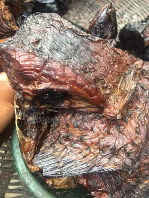 Bayelsa River Croaker Mangala Fish (1kg- Without Head)