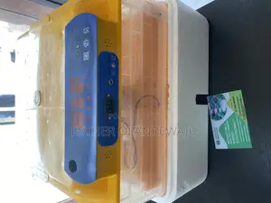 Egg Incubator