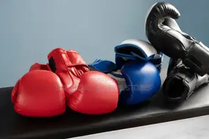 Boxing Glove